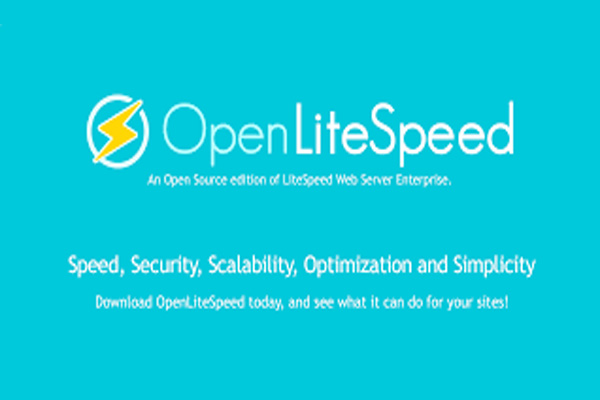 Install OpenLiteSpeed Ubuntu